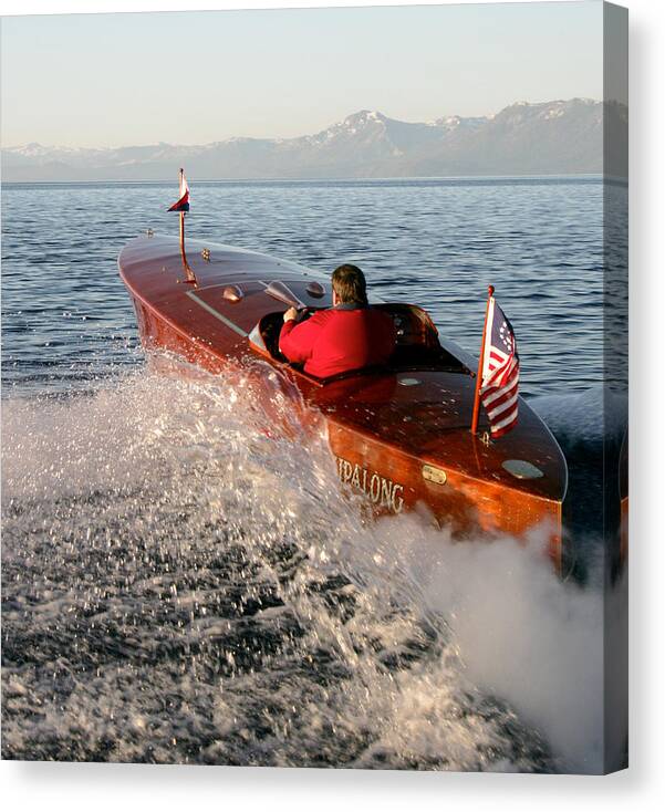Wood Canvas Print featuring the photograph Iconic Baby Skipalong by Steven Lapkin