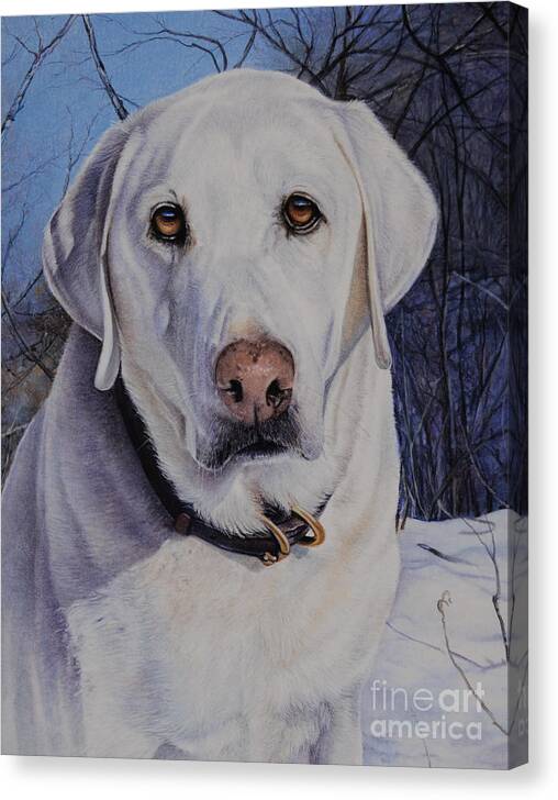 Canine Art Canvas Print featuring the pastel Charlie #1 by Joni Beinborn