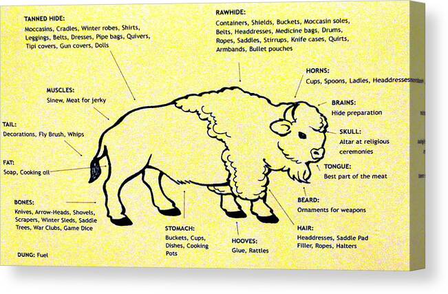 Buffalo Bisons Depth Chart