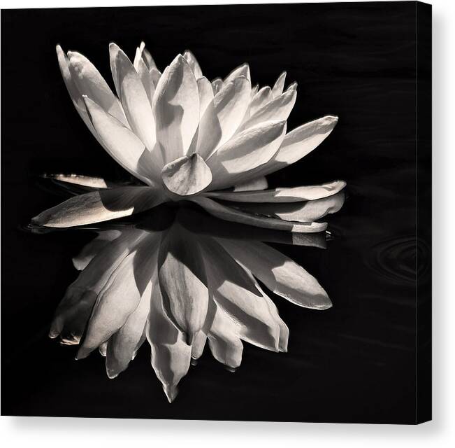 Fine Art Photography Canvas Print featuring the photograph Reflecting on a Dark Pond by Carol Eade