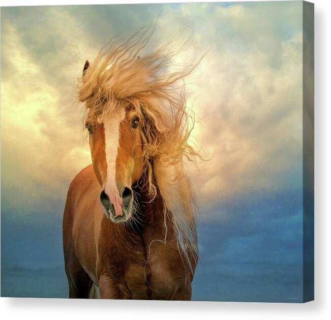 Horse Canvas Print featuring the digital art Windswept by Nicole Wilde