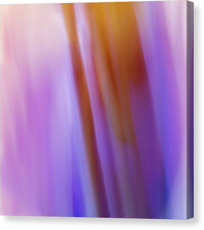 Abstract Canvas Print featuring the photograph Blue Vase by Cheryl Day
