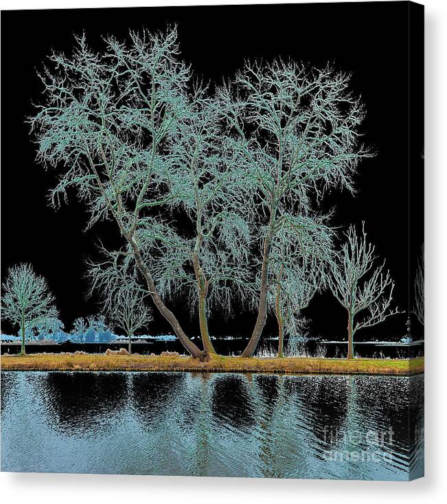 Elfhoevenplas Canvas Print featuring the digital art Fairy tree-1 by Casper Cammeraat