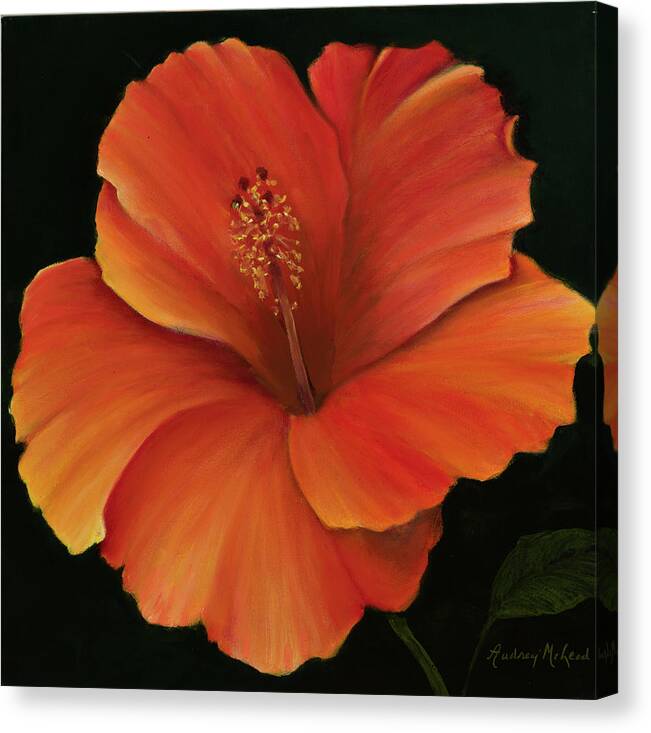 Red Hibiscus Canvas Print featuring the painting Hibiscus Beauty by Audrey McLeod