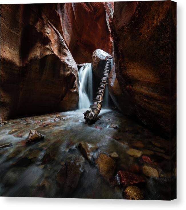 Zion Canvas Print featuring the photograph Hidden Canyon 2 by Larry Marshall