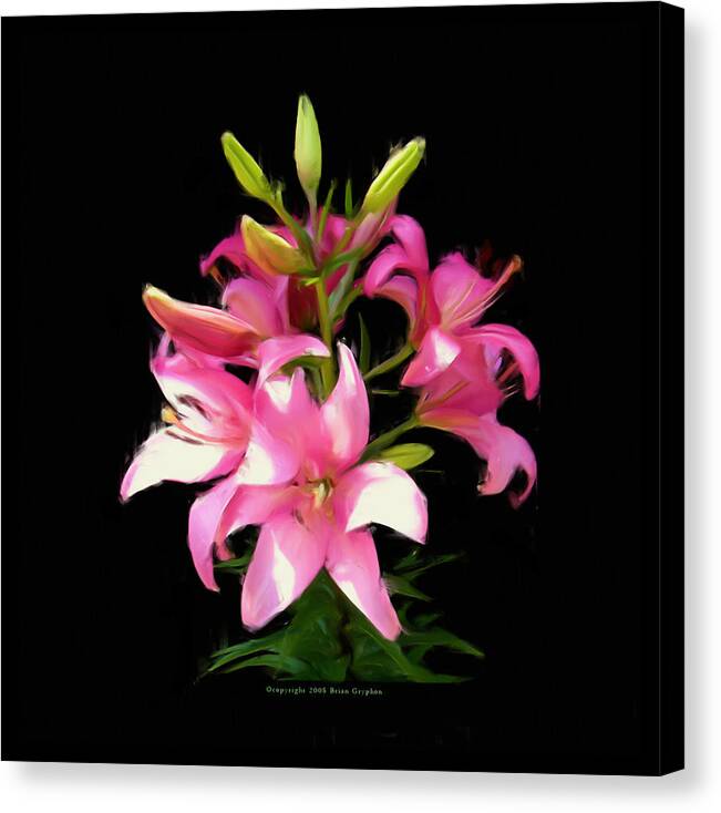 Lily Canvas Print featuring the digital art Pink Lilies 22103g by Brian Gryphon