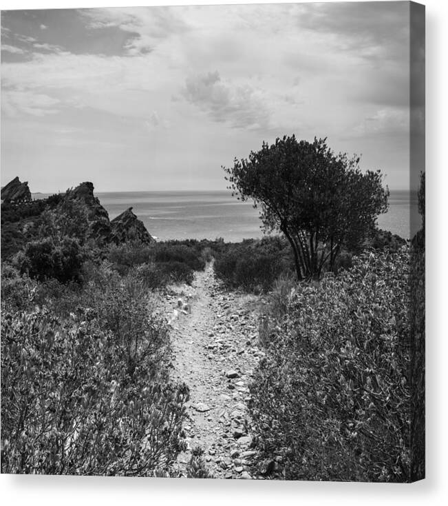 Rocky Path Canvas Print featuring the photograph Rocky Path to the Sea in Mono - Square by Georgia Clare