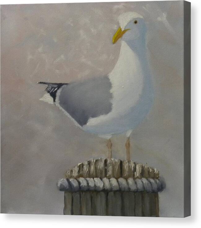 Bird Seagull Ocean Harbor Water Dock Seascape Landscape Canvas Print featuring the painting Waiting For Lunch by Scott W White