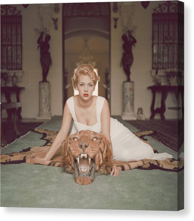 People1950-1959animallifestylesfurniturecolor Imageverticalusaarchivalphotographynorth Americawealthdomestic Lifehuman Interestsquarerecliningone Person Canvas Print featuring the photograph Beauty And The Beast by Slim Aarons