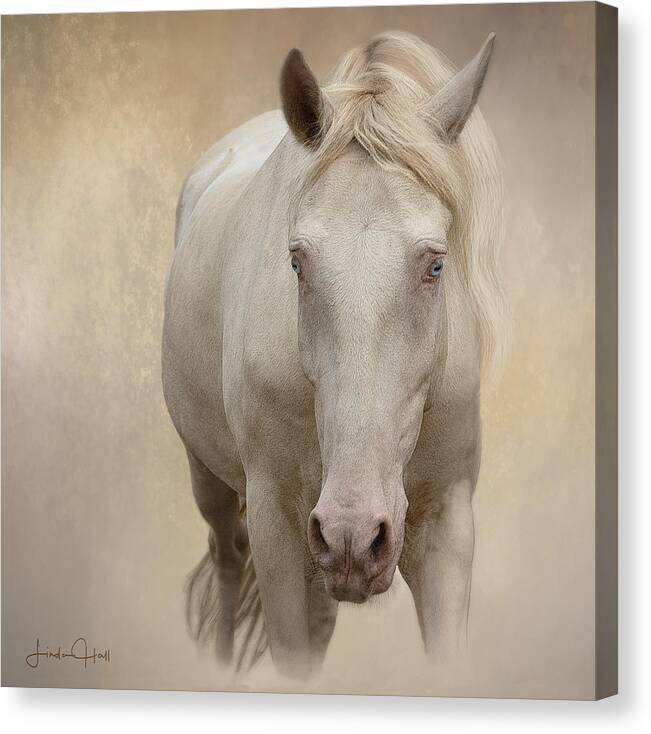 Cream Canvas Print featuring the digital art Is That a Treat in Your Hand by Linda Lee Hall