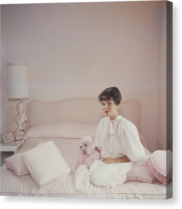 People Canvas Print featuring the photograph Pink Accessory by Slim Aarons