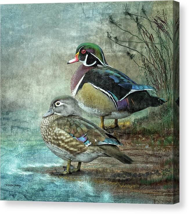 Bird Canvas Print featuring the digital art Wood Ducks #1 by Merrilee Soberg