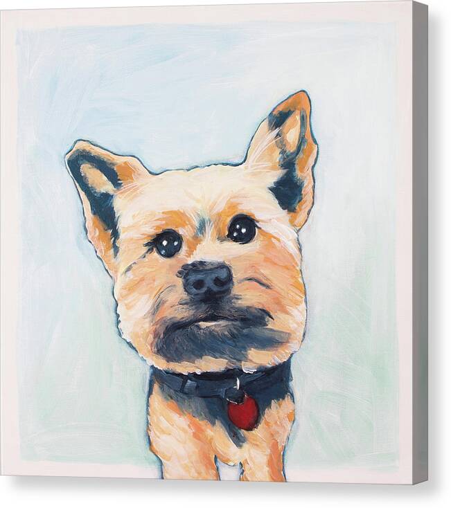 Yorkie Canvas Print featuring the painting Bear by Pamela Schwartz