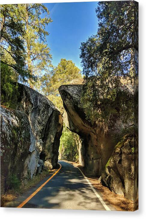 Nature Canvas Print featuring the photograph Arch Rock Entrance by Portia Olaughlin