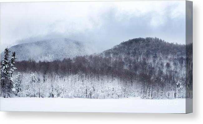 Bare Canvas Print featuring the photograph Mont Saint Hilaire Lac Hertel On a Winter Day #1 by Laurent Lucuix