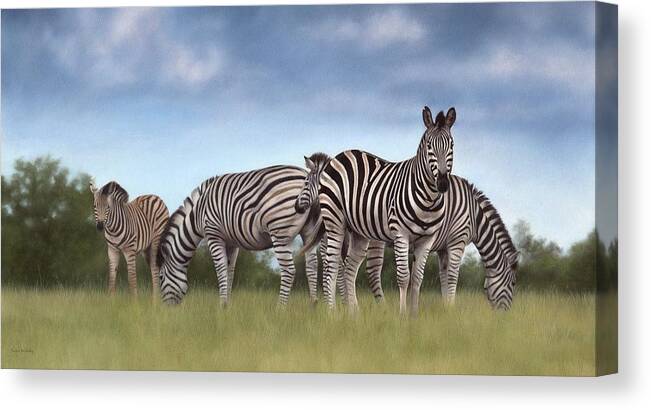 Zebras Canvas Print featuring the painting Zebras Painting by Rachel Stribbling