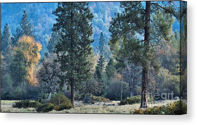 Landscape Canvas Print featuring the photograph Bye Bye Fall by Julia Hassett