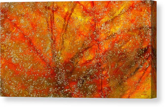 Colors Of Nature Canvas Print featuring the photograph Colors of Nature 9 by Sami Tiainen