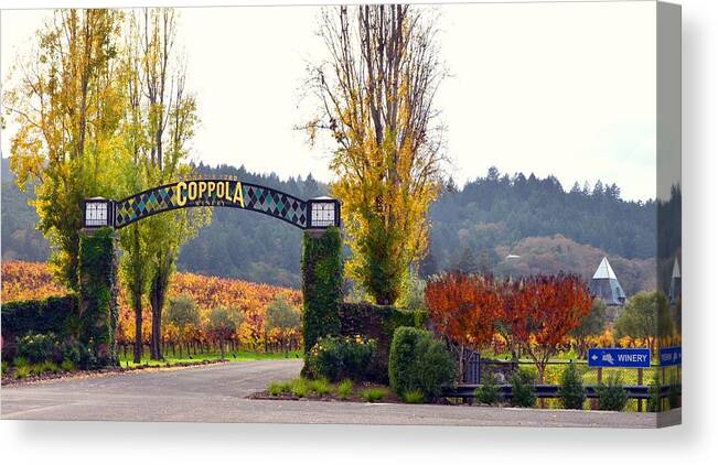 Winery Canvas Print featuring the photograph Coppola Winery SOLD by Antonia Citrino