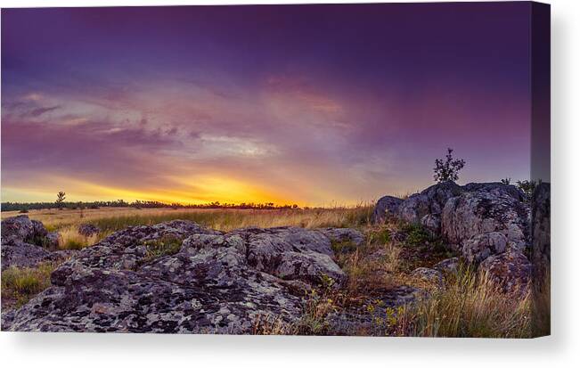 Ukraine Canvas Print featuring the photograph Dawn at steppe by Dmytro Korol