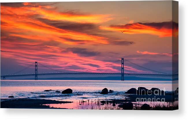 Michigan Canvas Print featuring the photograph Early Bird Big Mac by Todd Bielby