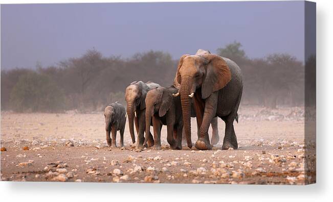 Wild Canvas Print featuring the photograph Elephant herd by Johan Swanepoel