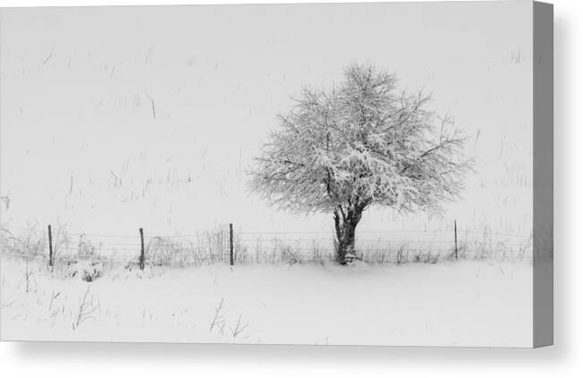 Fence Canvas Print featuring the photograph Fence line in the Wintertime by Holden The Moment