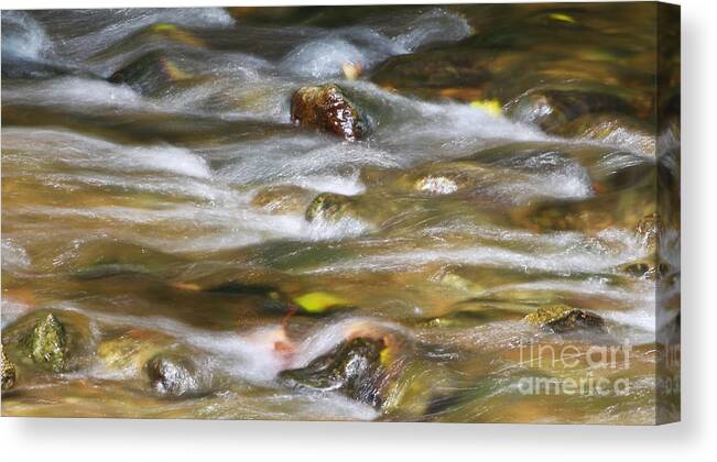 Christian Canvas Print featuring the photograph Flow of Nature by Anita Oakley