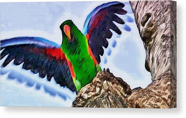 Shining Feathers Canvas Print featuring the painting Fly And Shine by Withintensity Touch