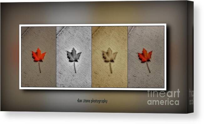 Autumn Canvas Print featuring the digital art Foliaquad 2 by Dan Stone