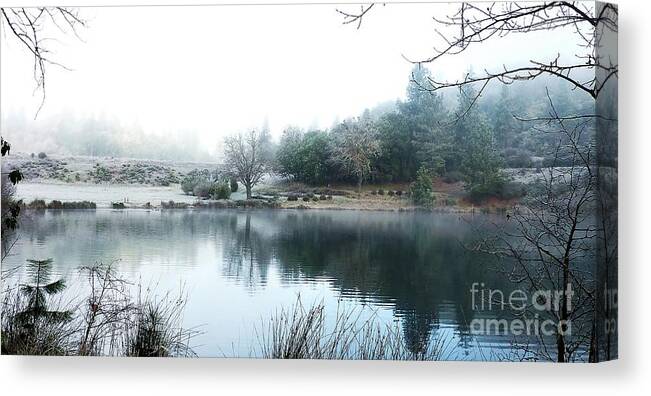 Landscape Canvas Print featuring the photograph Freezing Fog by Julia Hassett