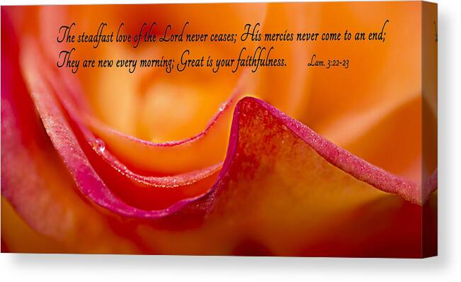 Rose Canvas Print featuring the photograph Great Is Your Faithfulness by Mary Jo Allen