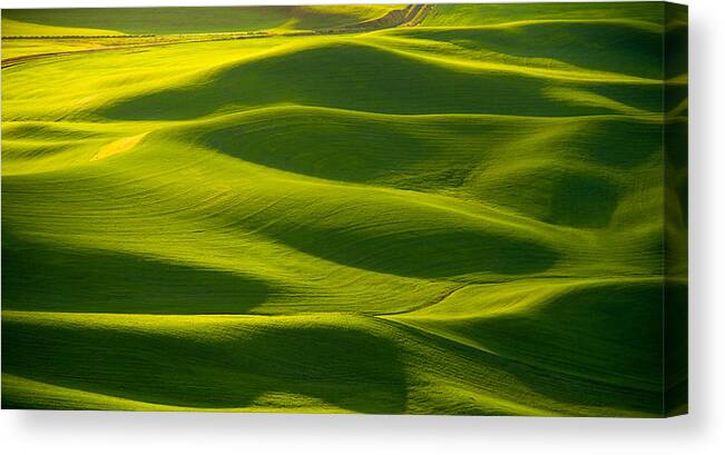 Spring Sunrise Canvas Print featuring the photograph Green waves by Kunal Mehra