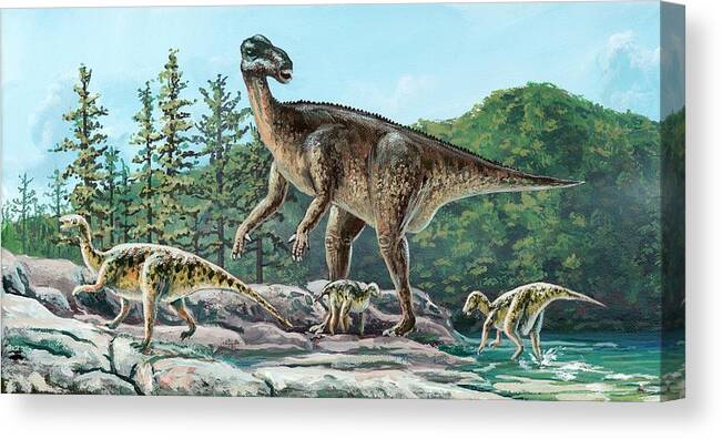 Artwork Canvas Print featuring the photograph Iguanodon by Richard Bizley