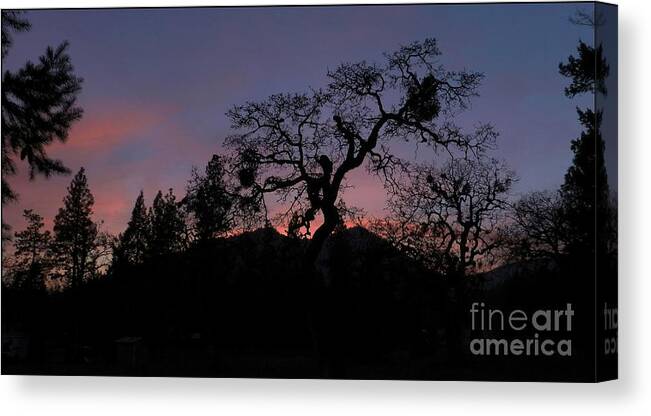 Landscape Canvas Print featuring the photograph Lights Out by Julia Hassett