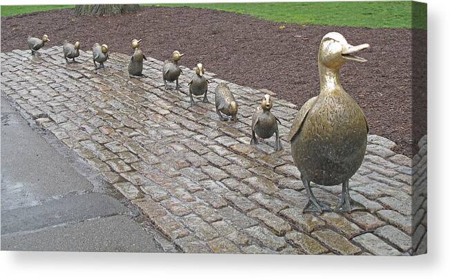 Schon Canvas Print featuring the photograph Make way for ducklings by Barbara McDevitt