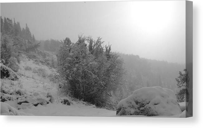 Mountains Canvas Print featuring the photograph Morning snow shower by Thomas Samida