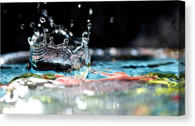 Bokeh Canvas Print featuring the photograph Neptune's Crown by Lisa Knechtel