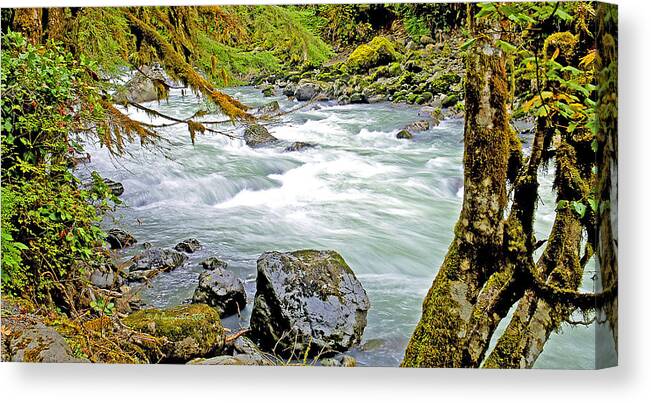 Flow Canvas Print featuring the photograph Nooksack River Rapids Washington State by A Macarthur Gurmankin