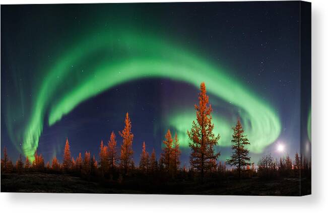 Aurora Canvas Print featuring the photograph Northern Lights by Andrey Snegirev