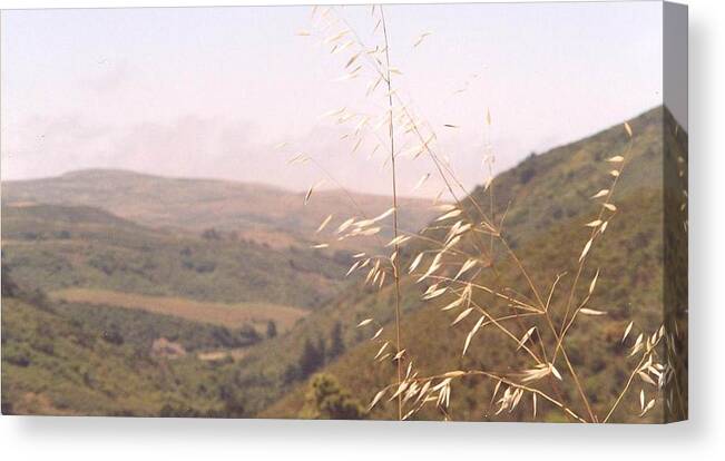 Valley Canvas Print featuring the photograph Overlooking the valley by Cynthia Marcopulos
