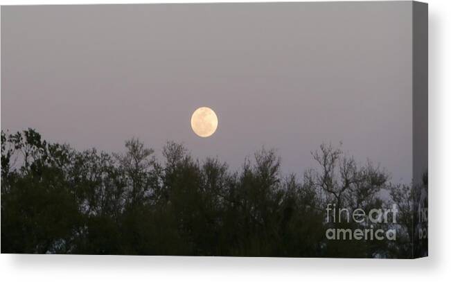 Moon Canvas Print featuring the photograph Panoramic New Orleans Moon Rising by Joseph Baril