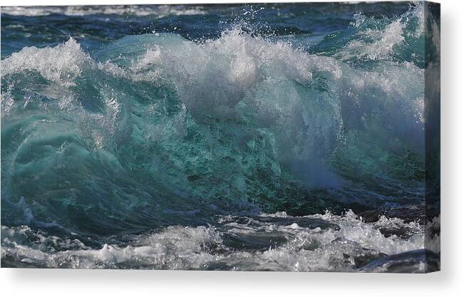 Ocean Canvas Print featuring the photograph Poetry In Motion by Sandra Sigfusson