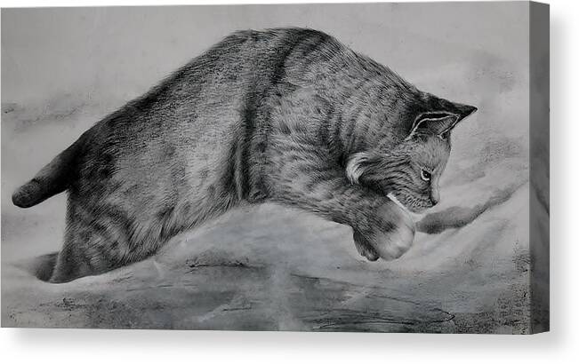 Bobcat Canvas Print featuring the drawing Pounce by Jean Cormier