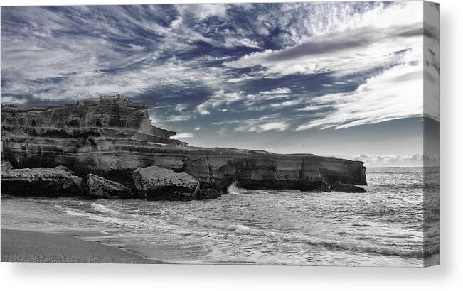 New Zealand Canvas Print featuring the photograph Punakaiki Truman Track #4 - Black and White by Stuart Litoff