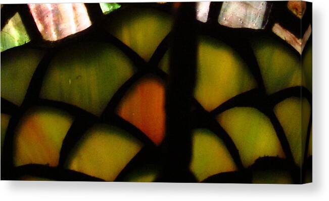  Photograph Still Canvas Print featuring the photograph Something Different by Gayle Price Thomas