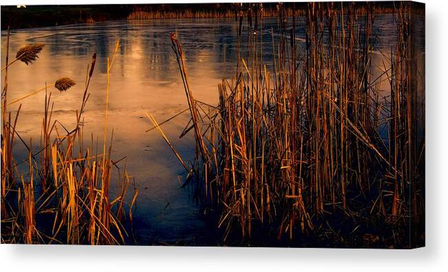 Ice Canvas Print featuring the photograph Sun and Ice by Gerald Salamone