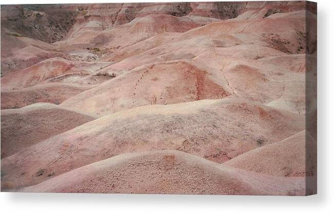 The Badlands Canvas Print featuring the photograph The Badlands Rolling Coral Dunes by Nadalyn Larsen