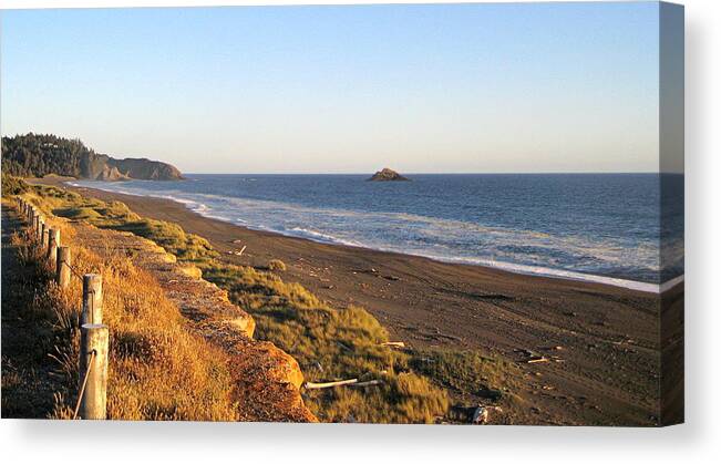 Scenic Canvas Print featuring the photograph The Golden Coast by AJ Schibig
