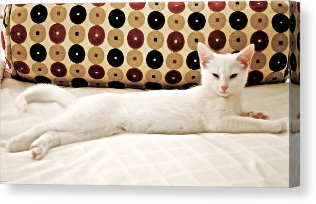 Cat Canvas Print featuring the photograph The Lap of Luxury by Kristin Hatt